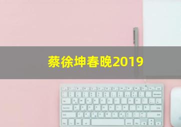 蔡徐坤春晚2019