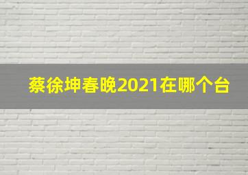 蔡徐坤春晚2021在哪个台