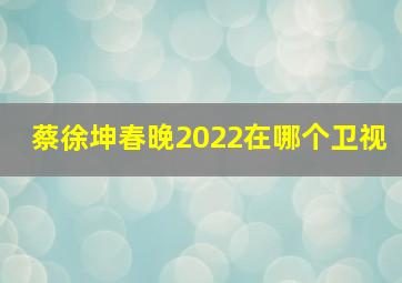 蔡徐坤春晚2022在哪个卫视