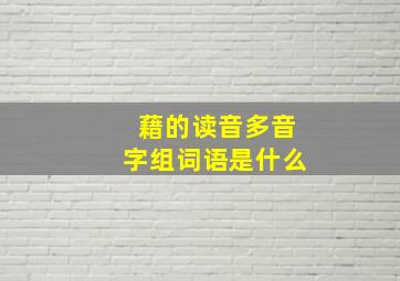 藉的读音多音字组词语是什么