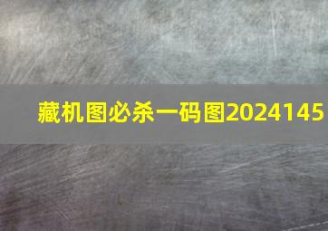 藏机图必杀一码图2024145