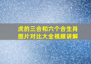 虎的三合和六个合生肖图片对比大全视频讲解