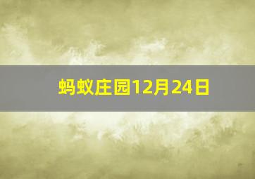 蚂蚁庄园12月24日