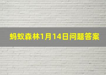 蚂蚁森林1月14日问题答案