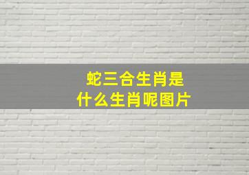 蛇三合生肖是什么生肖呢图片