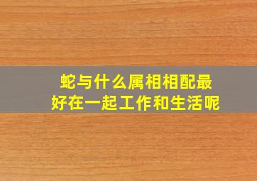 蛇与什么属相相配最好在一起工作和生活呢