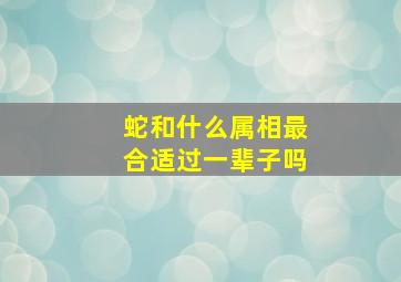 蛇和什么属相最合适过一辈子吗