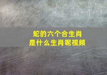 蛇的六个合生肖是什么生肖呢视频