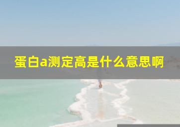 蛋白a测定高是什么意思啊