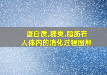 蛋白质,糖类,脂肪在人体内的消化过程图解