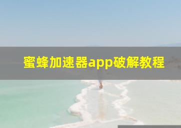 蜜蜂加速器app破解教程