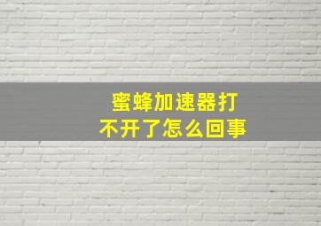 蜜蜂加速器打不开了怎么回事