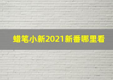 蜡笔小新2021新番哪里看