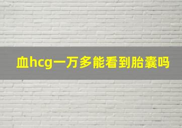 血hcg一万多能看到胎囊吗