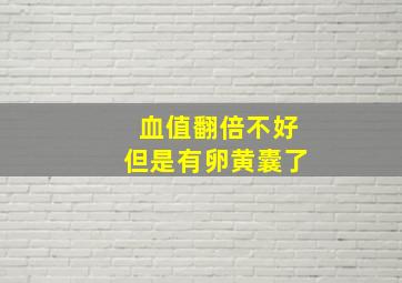 血值翻倍不好但是有卵黄囊了