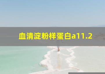 血清淀粉样蛋白a11.2