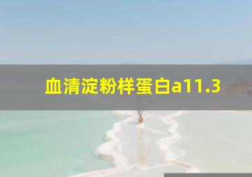 血清淀粉样蛋白a11.3