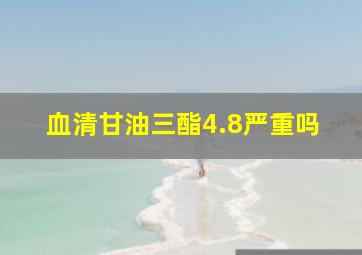 血清甘油三酯4.8严重吗