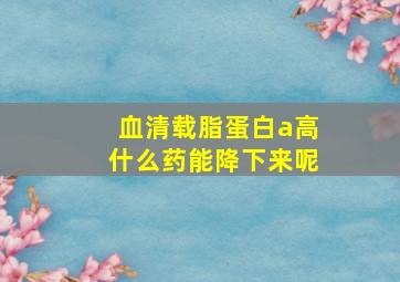 血清载脂蛋白a高什么药能降下来呢