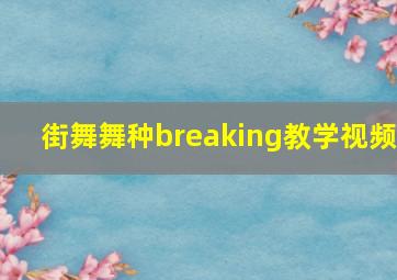 街舞舞种breaking教学视频