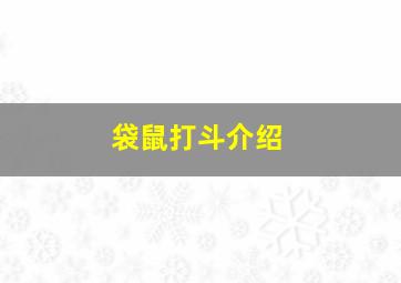 袋鼠打斗介绍