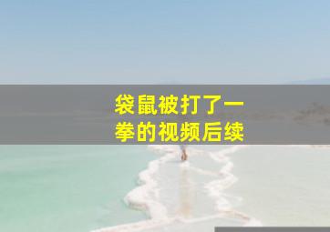 袋鼠被打了一拳的视频后续