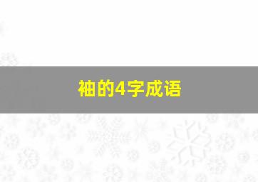 袖的4字成语