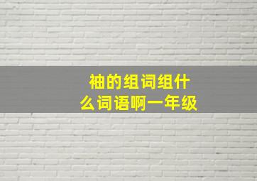 袖的组词组什么词语啊一年级