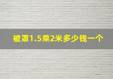 被罩1.5乘2米多少钱一个