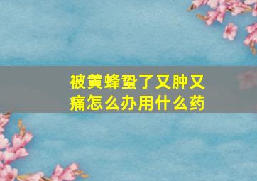 被黄蜂蛰了又肿又痛怎么办用什么药