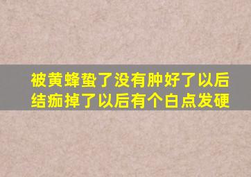 被黄蜂蛰了没有肿好了以后结痂掉了以后有个白点发硬