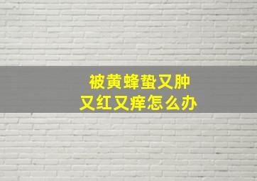 被黄蜂蛰又肿又红又痒怎么办