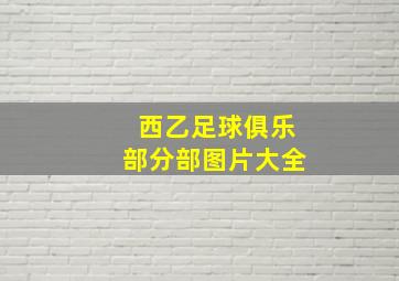 西乙足球俱乐部分部图片大全