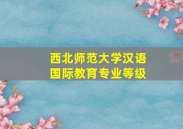 西北师范大学汉语国际教育专业等级