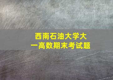 西南石油大学大一高数期末考试题