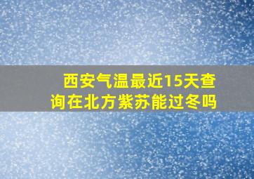 西安气温最近15天查询在北方紫苏能过冬吗