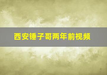 西安锤子哥两年前视频