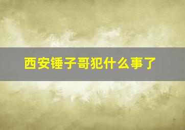 西安锤子哥犯什么事了