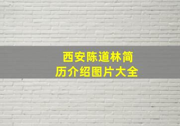 西安陈道林简历介绍图片大全