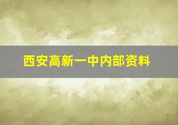 西安高新一中内部资料