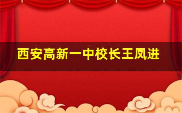 西安高新一中校长王凤进