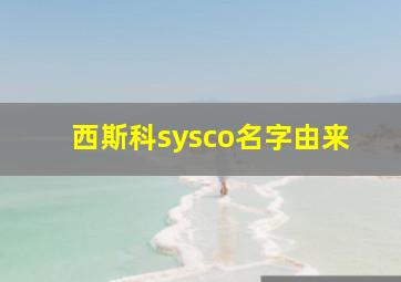 西斯科sysco名字由来