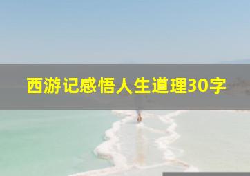 西游记感悟人生道理30字