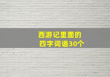 西游记里面的四字词语30个