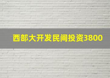 西部大开发民间投资3800