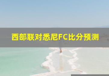 西部联对悉尼FC比分预测