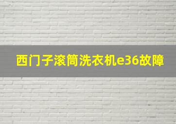 西门子滚筒洗衣机e36故障