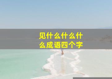 见什么什么什么成语四个字