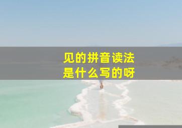 见的拼音读法是什么写的呀