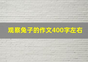 观察兔子的作文400字左右